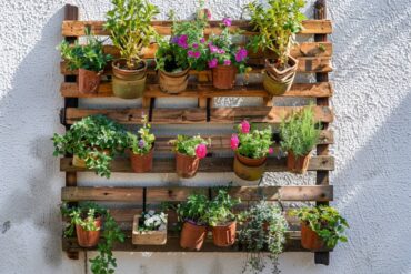 Jak zrobić regał na rośliny z drewnianych palet